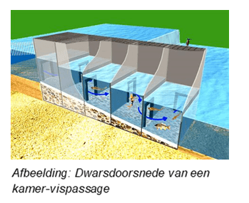 Dwarsdoorsnede van een kamer-vispassage