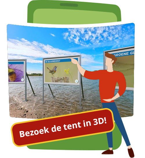 Opent Wet Five 360 graden pagina in nieuw venster