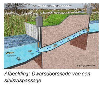 Dwarsdoorsnede van een sluisvispassage